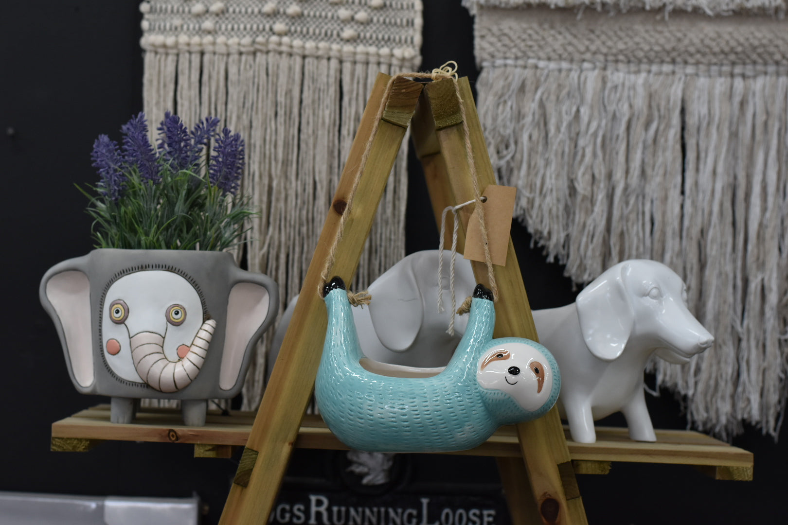 Animal & Quirky Planters